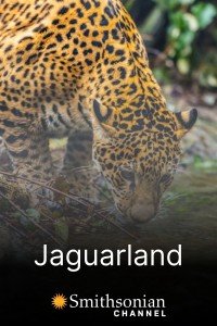 Jaguarland (Jaguarland) [2020]